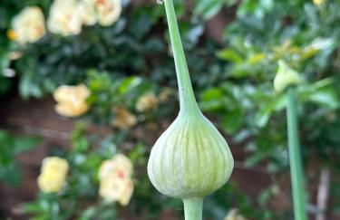 La casa di Zoe-ARTANDTRAVEL - Foto 72