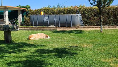 Casa Fenix - Homey Galicia - Foto 4, Garden
