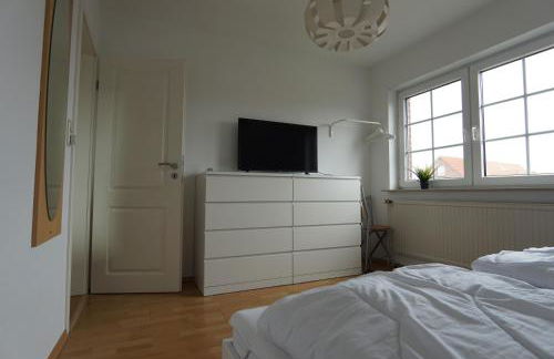 Zaunkönigin - Foto 23