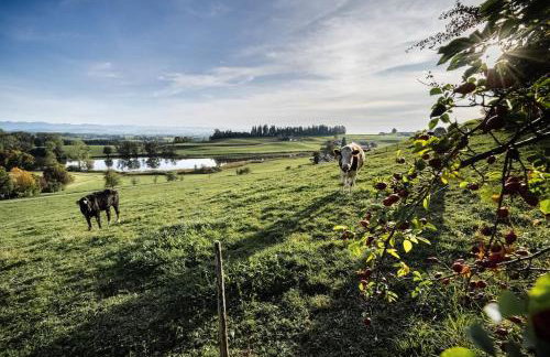 Appartement Mondholzliebe DG - Photo 8