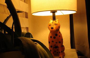 Ferienwohnung Ida Pfeiffer - Foto 15