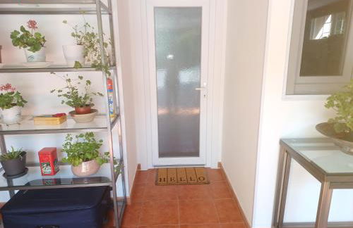 Casa Raposeira - Foto 39