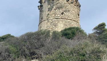 Domaine Amortella Saint-Florent - Foto 2