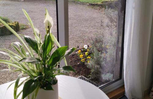 Studio Nature - Photo 2