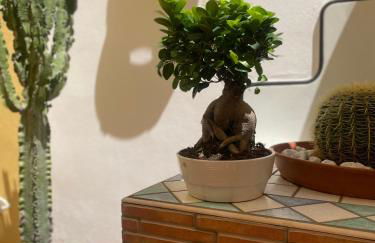 Sky and Green Luxury Apartament - Photo 26