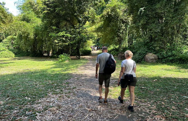 Excursión a las cataratas de Dark View - Foto 2