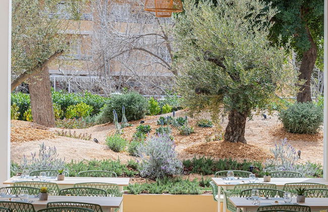 MarSenses Rosa del Mar Hotel & Spa - Photo 66