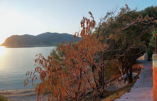 Maeiz Skopelos - Foto 28