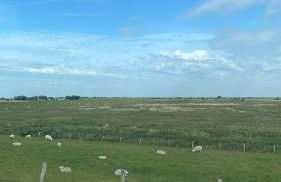 Ferienhaus Roggenbach - Süden 36 - Photo 17