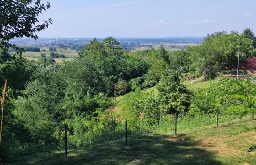 Bakino brdo - Granny's hill - Photo 45