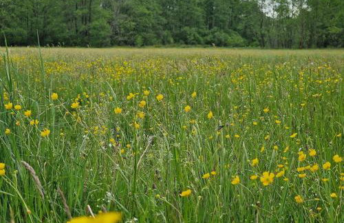 Dom wakacyjny w Lubianie - Foto 1
