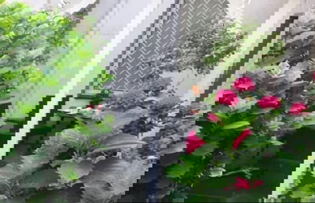 Die Hotelalternative - Photo 1