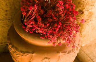 Palazzo Contino - Foto 47