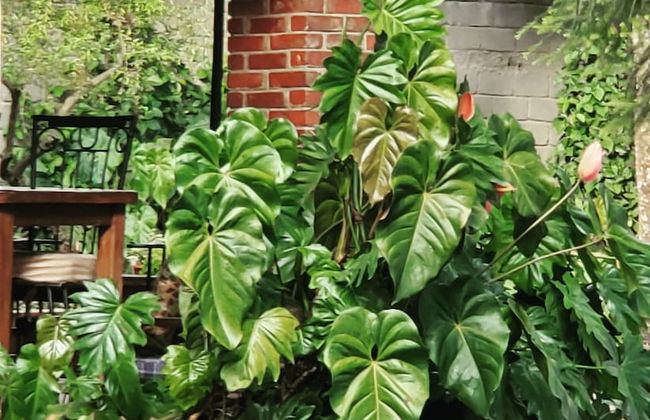 Kundayo Serviced Apartments Lodge - Photo 23