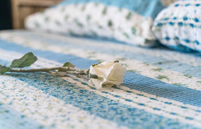 Apartments Stella - Foto 58