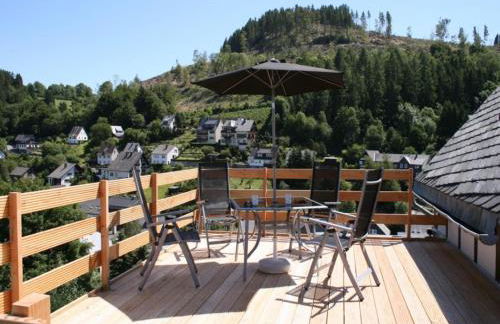 Ferienwohnung bei Willingen mit Terrasse - Foto 22