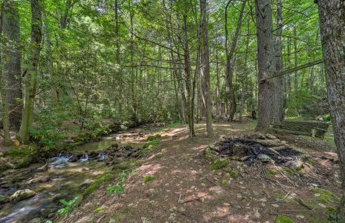 Deep Gap Cottage with Fire Pits - Hike and Ski! - Foto 34