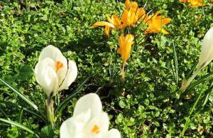 Historisches Fachwerkhaus aus dem 18 Jahrhundert - Photo 36