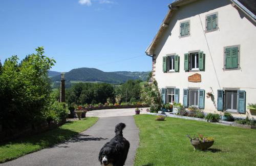 Maison familiale à Orbey, 3 chambres, parking privé, espace vert, jeux pour enfants - FR-1-744-26 - Foto 5