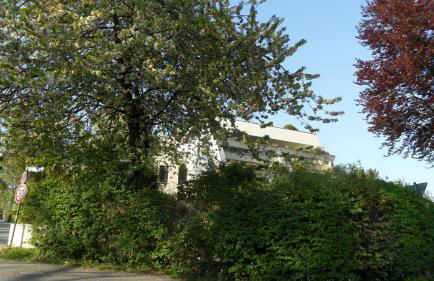 Dachterrassen Ferienwohnung mit See- u. Bergblilck - Foto 17