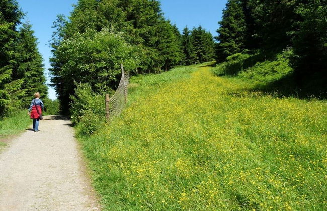Cosy Apartment in Harz - Photo 18