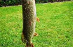 Domek U Justyny - Foto 28