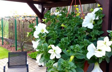 Zielone Zacisze - Foto 18