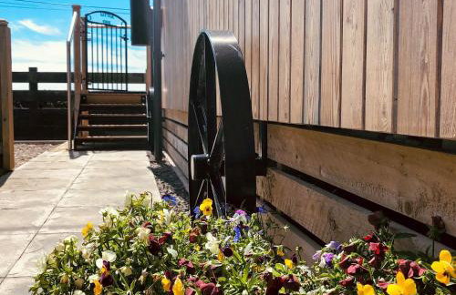 Little Oak - Uk5996 - Foto 12