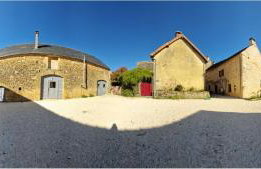 La bichonelle-chevrefeuille - Foto 14