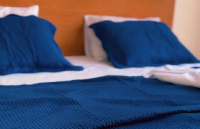 Pedro Alexandre Da Costa - Photo 5