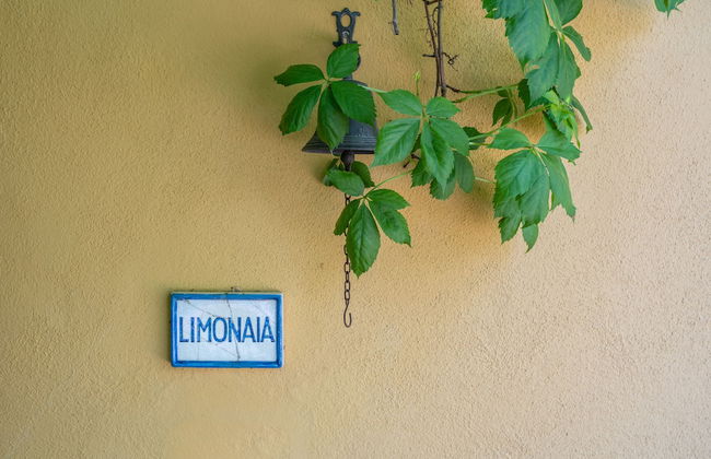 Il Palazzetto - Foto 42