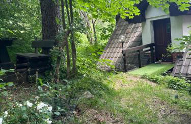 Studio Gościnne ANTEK - Foto 13