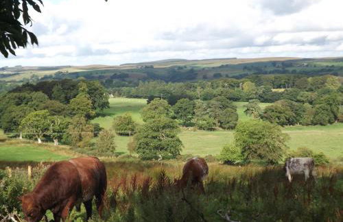 Hillis Close Farm Cottage - Foto 46