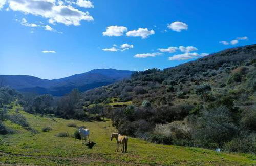 Apartamentos Ca' tio Celso - Foto 54