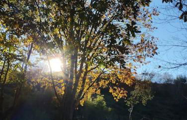 PequeñoCabárceno - Foto 42