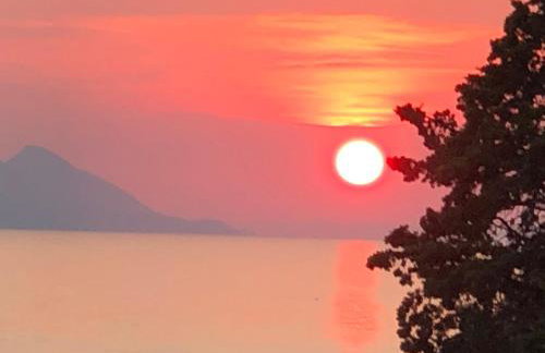 Fig Tree Apartment - Foto 42