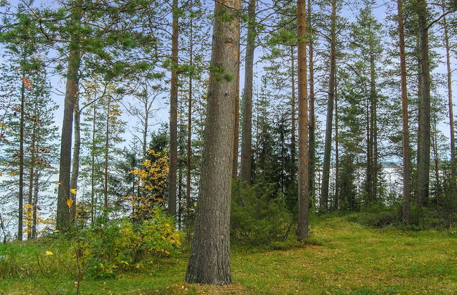 Mäntyranta - Foto 24