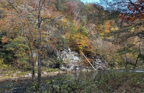 4 BR Mountain Cabin with Hot Tub & Fire Pit in GA - Foto 51