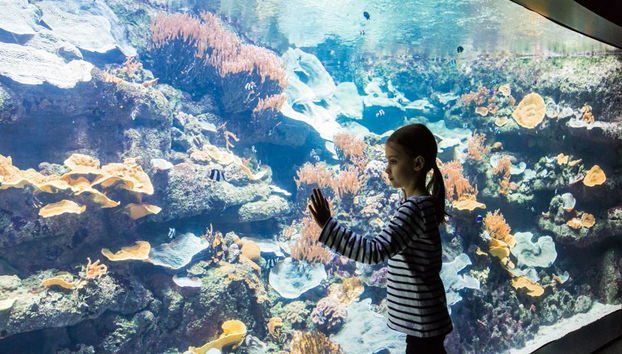 Aquarium de Paris - Billet - Photo 5