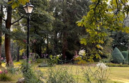 Hayes Suite - Foto 27