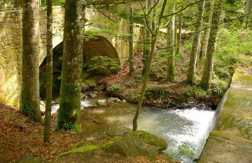 Casa di Lilli - Foto 22