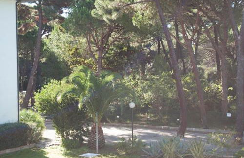 Residence Verde Pineta - Foto 29