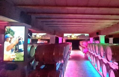 Le Cottage Nature Vigne Rouge Clim Gaillac entre Albi-Toulouse & Les Cottages du Tarn - Foto 29