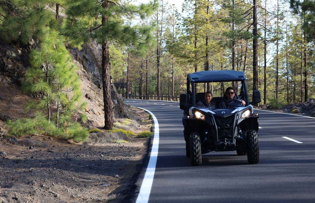 Tour in buggy di Teide - Foto 7