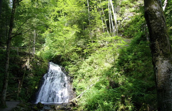 Ferienwohnung mit Talblick in Todtmoos - Photo 39