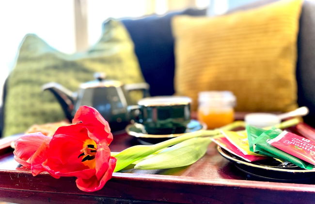 Agelandkaai.be - Photo 54