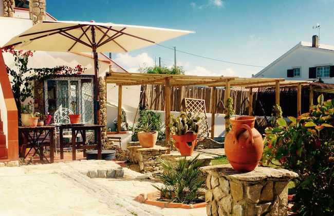 João Jungle - Foto 38