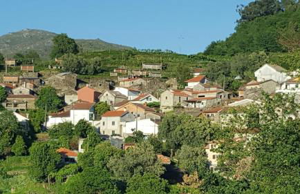 Casa das Catrinas - Photo 22