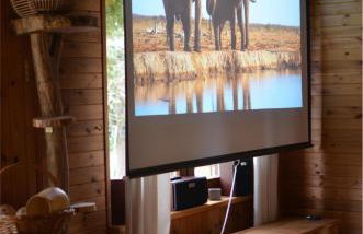 Rzeka i las - Photo 34