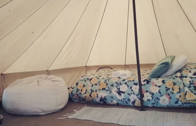 Associação Quinta das Relvas - Foto 15